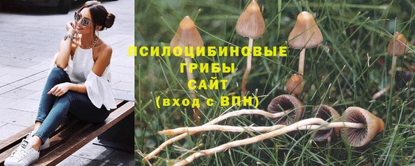 мет Алзамай