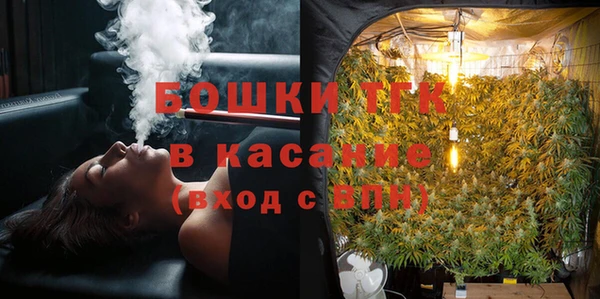 сатива Нягань
